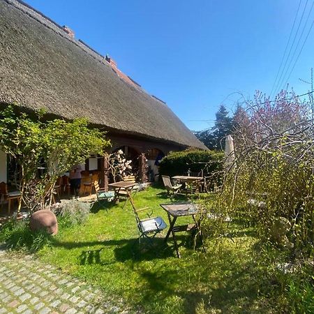 Bed and Breakfast Fischerhaus Galenbeck Zewnętrze zdjęcie